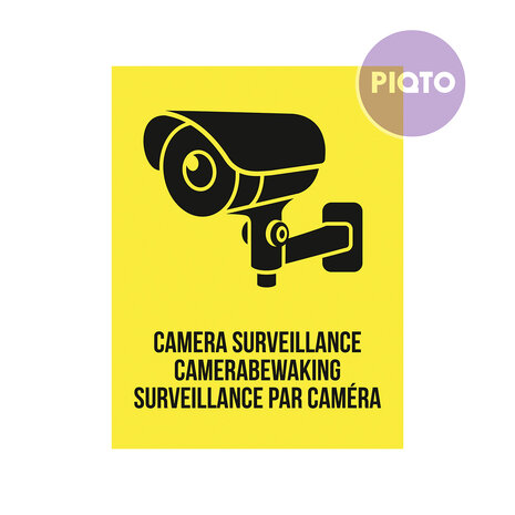 "Camera surveillance/ Camerabewaking/ Surveillance par cam&eacute;ra"